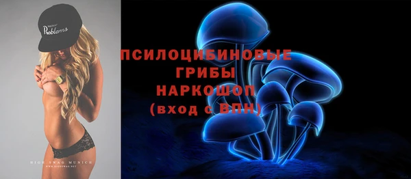 apvp Алзамай