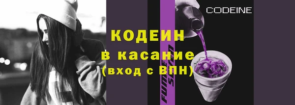 хмурый Алексин