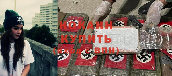 apvp Алзамай