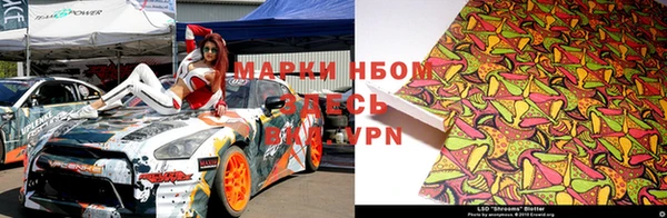 хмурый Алексин