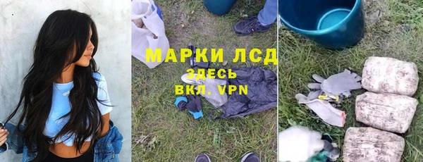 хмурый Алексин